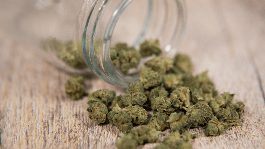 Cannabis Safety for Athletes: Dosing, Timing & Impairment Awareness